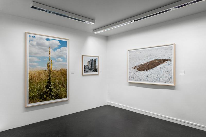 Camille Fallet - Galerie Cour Carrée